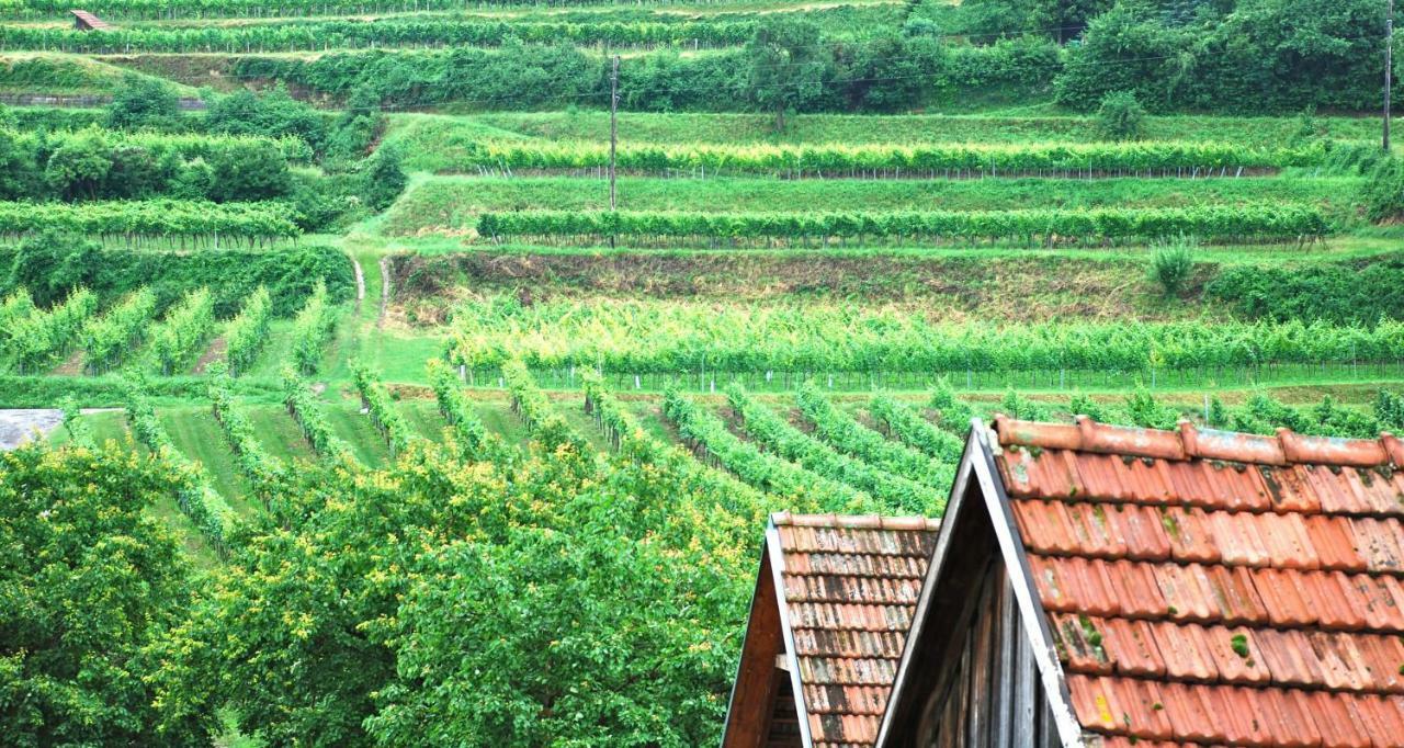 Weingut Jakob'S Ruhezeit 마우테른 외부 사진